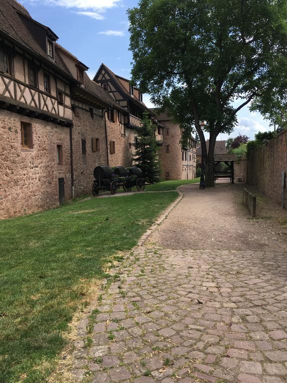 Ferienwohnung Le P'retzel&Le Sticksy Riquewihr Exterior foto