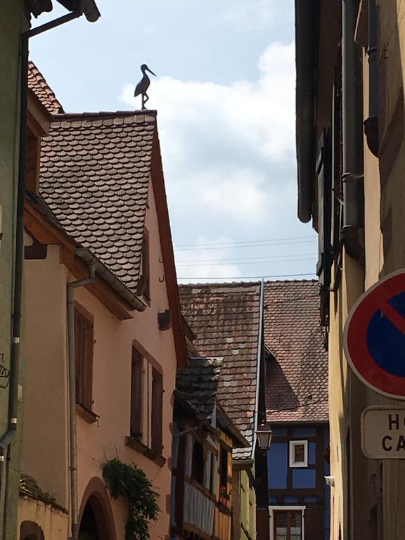 Ferienwohnung Le P'retzel&Le Sticksy Riquewihr Exterior foto